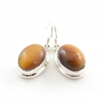 Tiger EYE